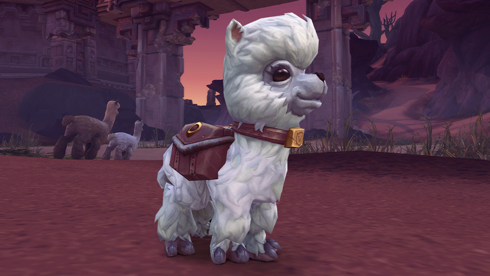 Dottie in game pet World of Warcraft